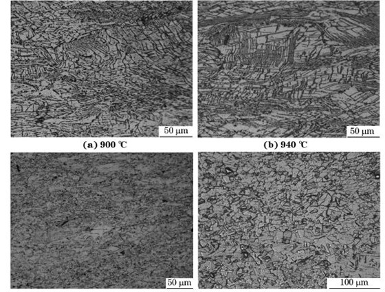 圖５ 在不同溫度、應(yīng)變速率為０．０１０s－１下壓縮至應(yīng)變量為７０％后GH４１６９合金的顯微組織
