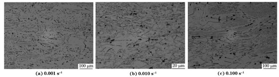 圖６ 在９８０ ℃、不同應(yīng)變速率下壓縮至應(yīng)變量為７０％后GH４１６９合金的顯微組織