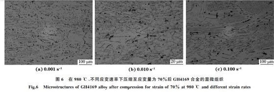 圖６ 在９８０ ℃、不同應(yīng)變速率下壓縮至應(yīng)變量為７０％