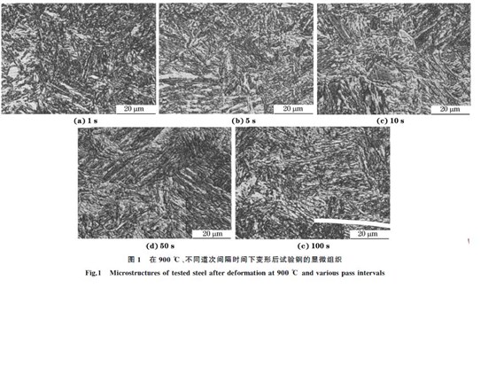 圖１ 在９００ ℃、不同道次間隔時間下變形后試驗鋼的顯微組織