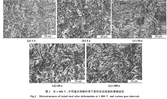 圖２ 在１０００ ℃、不同道次間隔時間下變形后試驗鋼的顯微組織