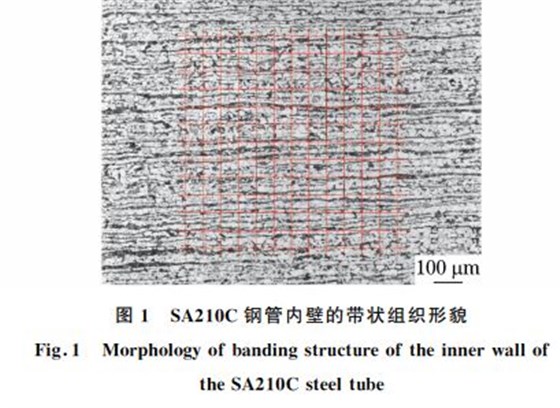 圖１ SA２１０C鋼管內壁的帶狀組織形貌