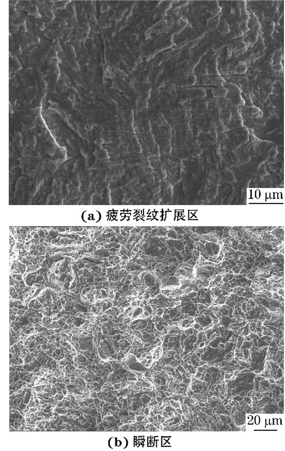 ３００M 鋼試樣疲勞斷口不同區(qū)域的SEM 形貌