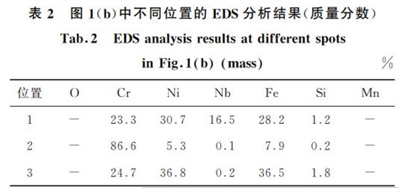 表２ 圖１(b)中不同位置的 EDS分析結(jié)果(質(zhì)量分數(shù))