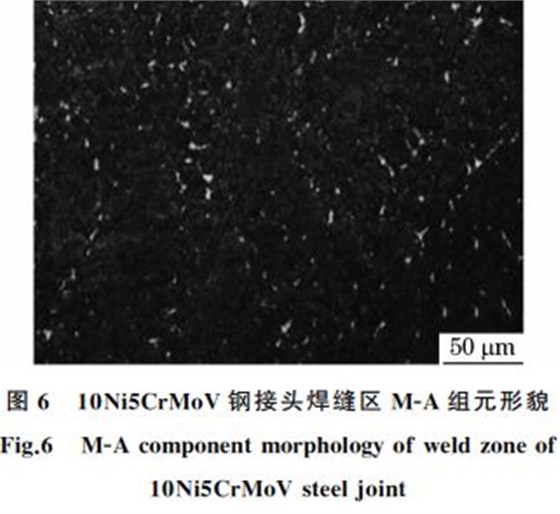 圖６ １０Ni５CrMoV鋼接頭焊縫區(qū) MＧA組元形貌