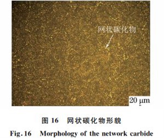 圖１６ 網(wǎng)狀碳化物形貌