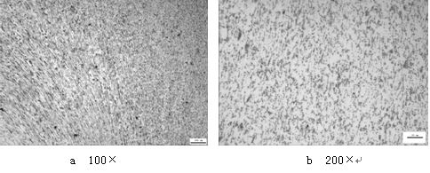 ML16CrSiNi長托板螺母未熱處理的金相組織，可見變形痕跡