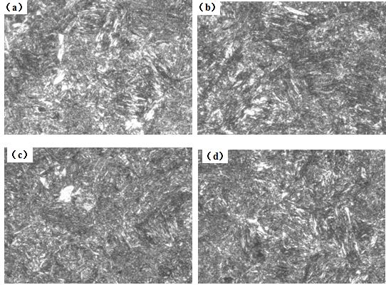 圖12-15 （a、b、c、d） 1～4號(hào)樣金相組織 500×