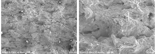 圖9-13 瞬斷區(qū)低倍形貌 圖9-14 瞬斷區(qū)高倍韌窩形貌