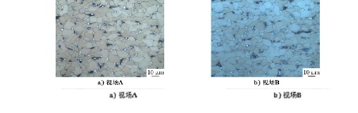 圖２ 雙相鋼彩色金相顯微組織形貌