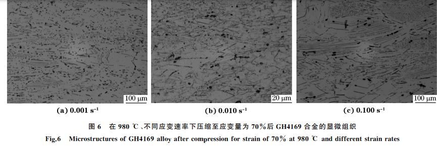 圖６ 在９８０ ℃、不同應(yīng)變速率下壓縮至應(yīng)變量為７０％