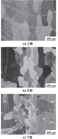 圖３ 接頭不同部位焊縫顯微組織形貌