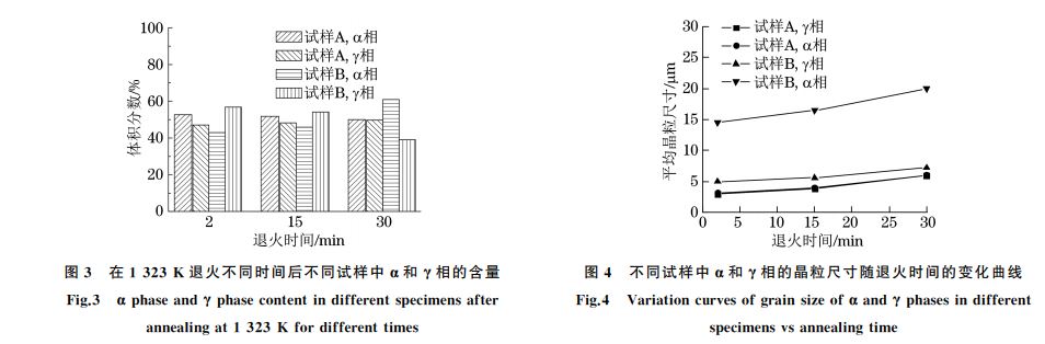 不同試樣中α和γ相的晶粒尺寸隨退火時間的變化曲線