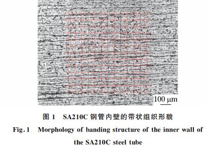 圖１ SA２１０C鋼管內(nèi)壁的帶狀組織形貌