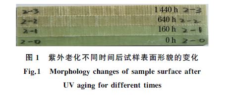 圖１ 紫外老化不同時間后試樣表面形貌的變化