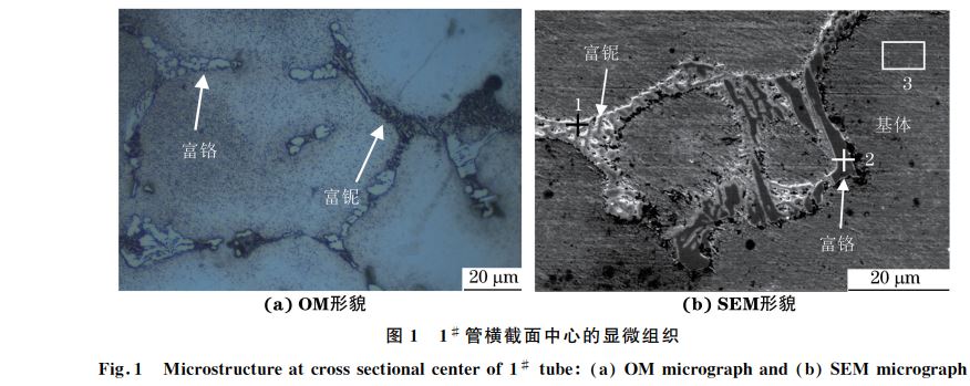 圖１ １＃ 管橫截面中心的顯微組織