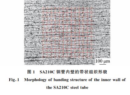 圖１ SA２１０C鋼管內(nèi)壁的帶狀組織形貌