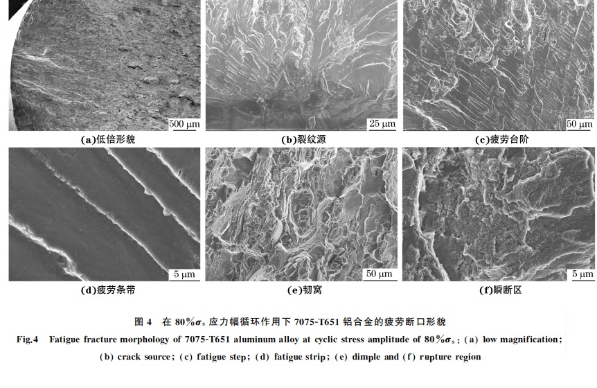 圖４ 在８０％σs 應(yīng)力幅循環(huán)作用下７０７５ＧT６５１鋁合金的疲勞斷口形貌